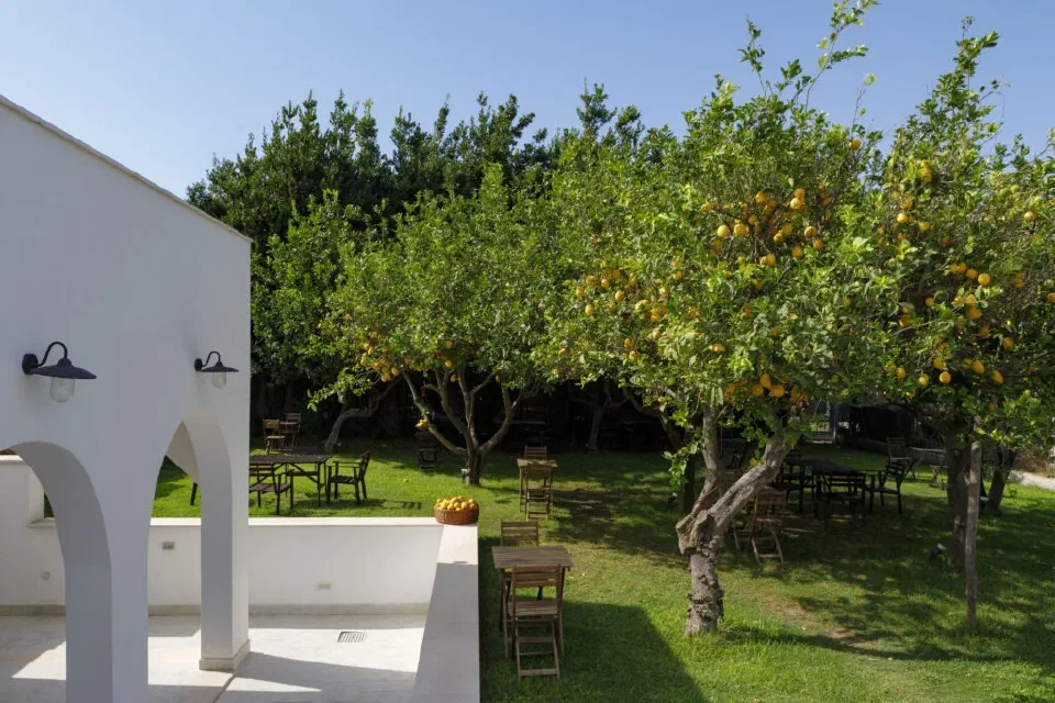 Lemon trees, white arches and tables in the garden at La Casa sul Faro