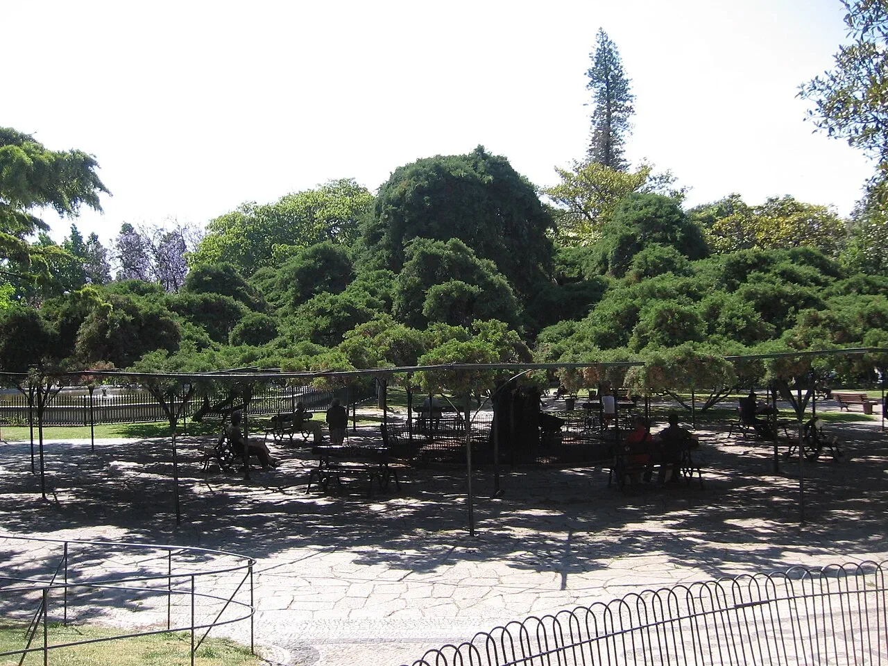 Shaded seating under a spreading tree in Jardim do Príncipe Real.