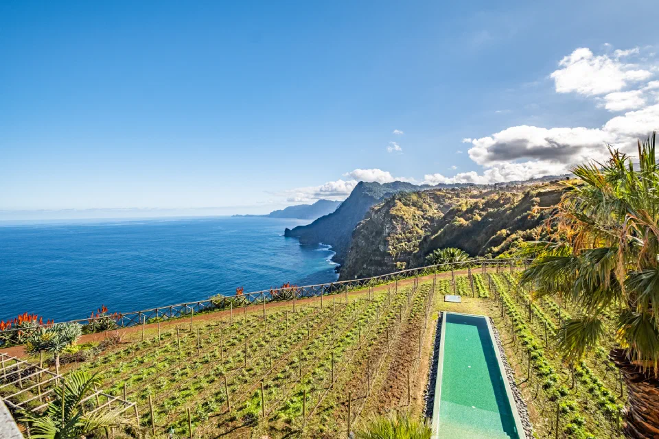 Vineyards and a long outdoor pool at Quinta do Furão above Madeira’s northeast coast.