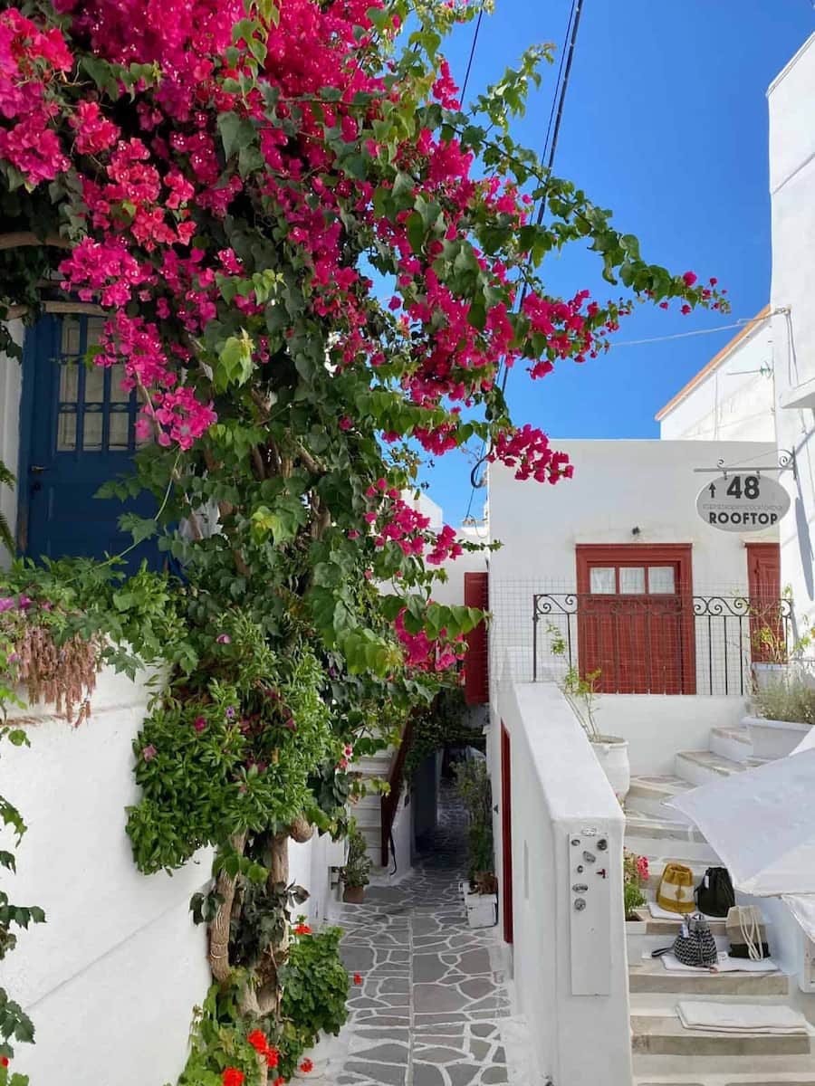 A bougainvillea-filled alley in Naxos Chora old town, towards the Kastro