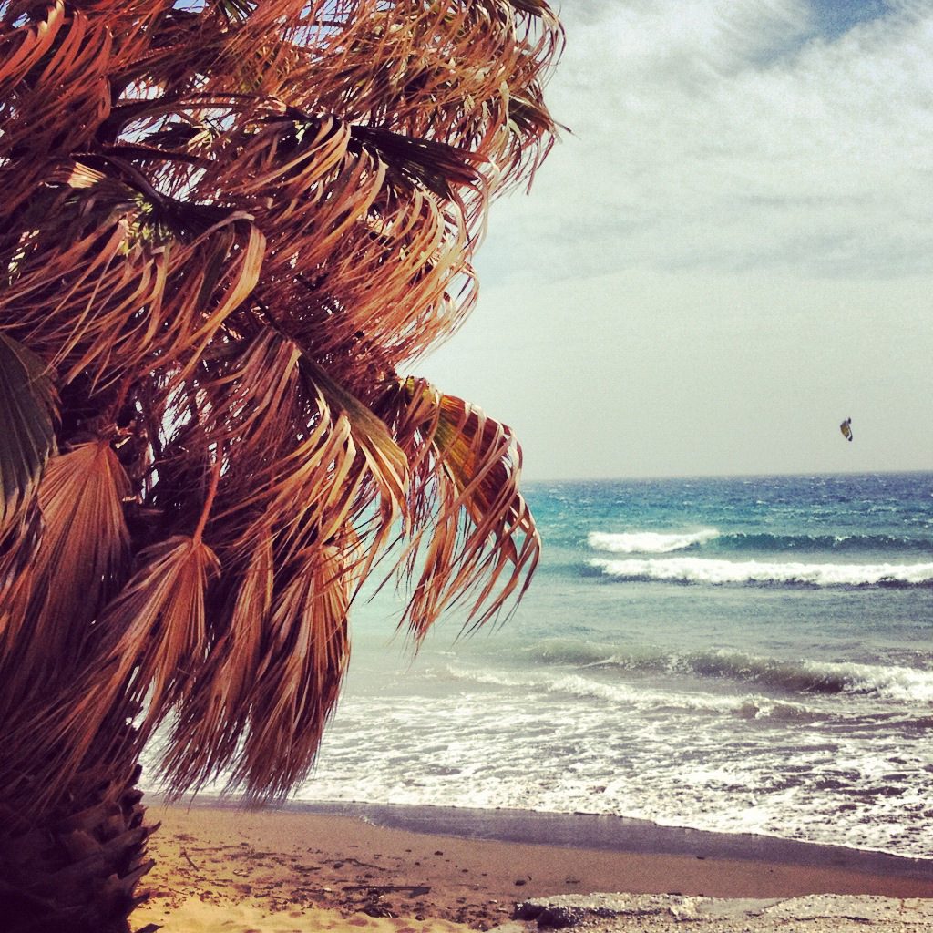 Golden Beach shoreline, sea and a distant kite beside a thatched parasol