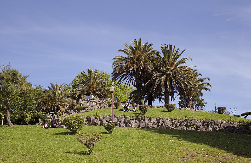 Palms and a sloping lawn at Jardim do Morro in Vila Nova de Gaia.