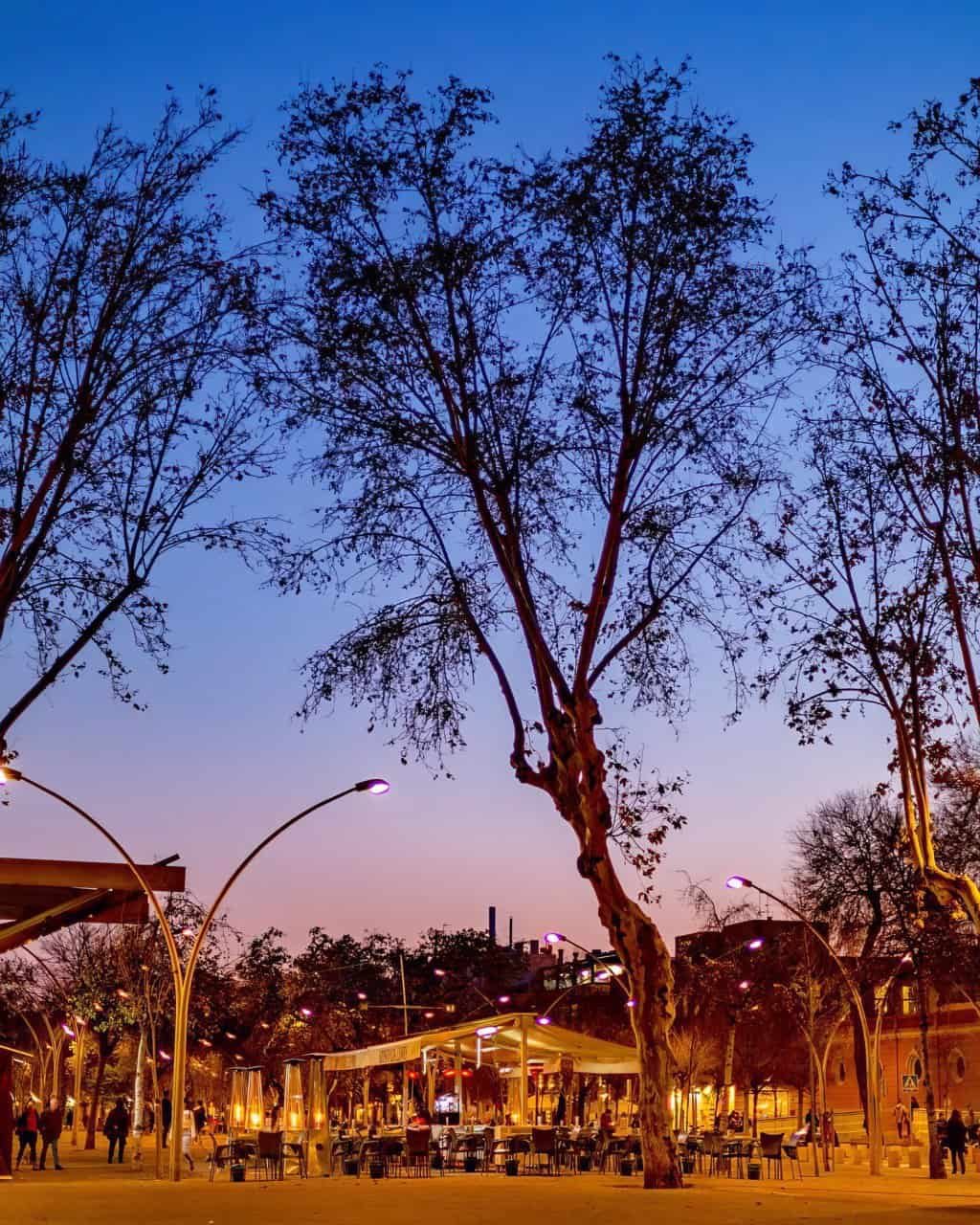 Alameda de Hércules at dusk, with bar terraces under trees and streetlights switched on.