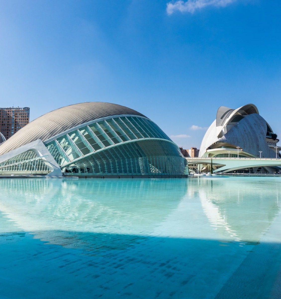 Calatrava's City of Arts and Sciences in Valencia, with the Hemisfèric and water pools