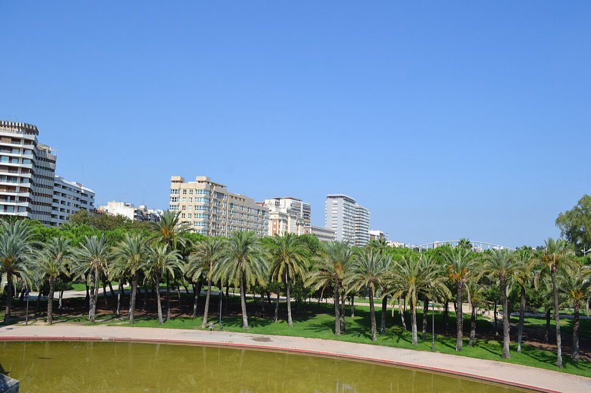 Jardí del Túria, the former riverbed turned linear park, with palms and Pla del Real buildings